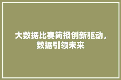 大数据比赛简报创新驱动，数据引领未来