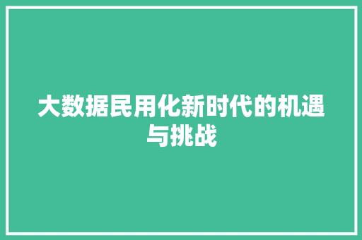 大数据民用化新时代的机遇与挑战
