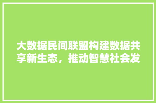 大数据民间联盟构建数据共享新生态，推动智慧社会发展