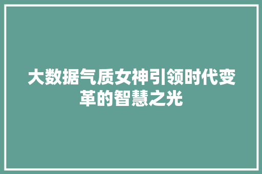 大数据气质女神引领时代变革的智慧之光