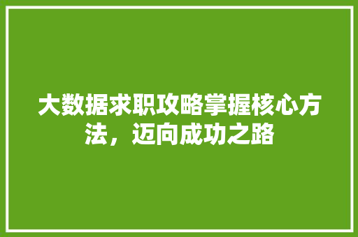 大数据求职攻略掌握核心方法，迈向成功之路
