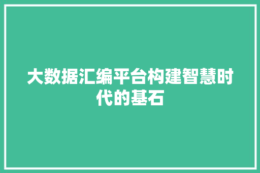 大数据汇编平台构建智慧时代的基石