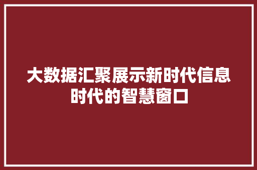 大数据汇聚展示新时代信息时代的智慧窗口