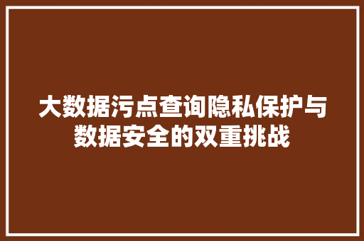 大数据污点查询隐私保护与数据安全的双重挑战 大数据污点查询隐私保护与数据安全的双重挑战