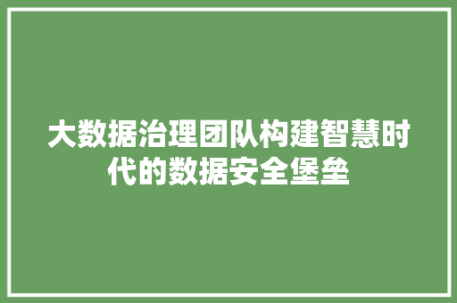 大数据治理团队构建智慧时代的数据安全堡垒