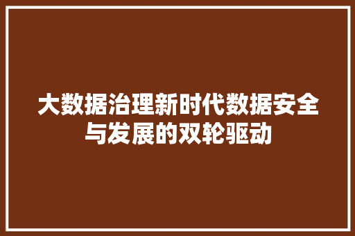 大数据治理新时代数据安全与发展的双轮驱动