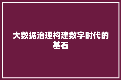 大数据治理构建数字时代的基石