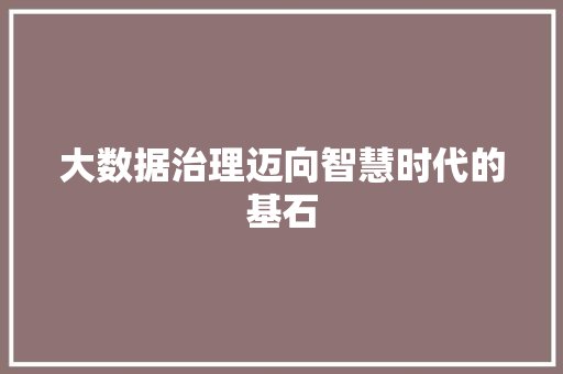 大数据治理迈向智慧时代的基石