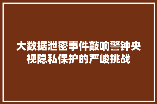 大数据泄密事件敲响警钟央视隐私保护的严峻挑战