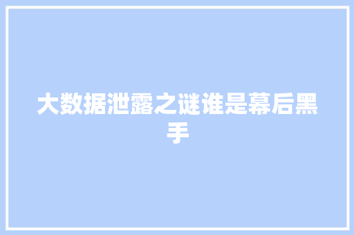 大数据泄露之谜谁是幕后黑手