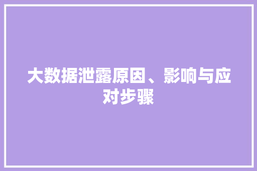 大数据泄露原因、影响与应对步骤