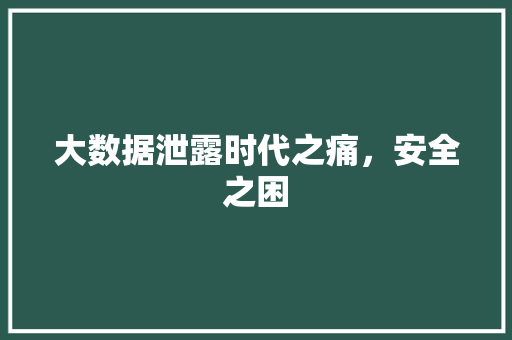 大数据泄露时代之痛，安全之困