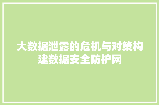 大数据泄露的危机与对策构建数据安全防护网