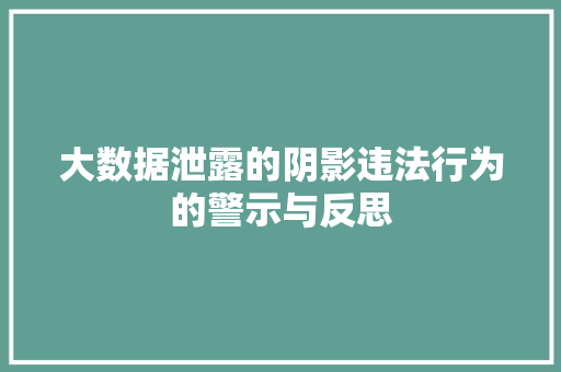 大数据泄露的阴影违法行为的警示与反思
