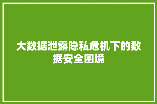 大数据泄露隐私危机下的数据安全困境