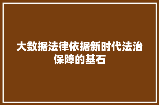 大数据法律依据新时代法治保障的基石