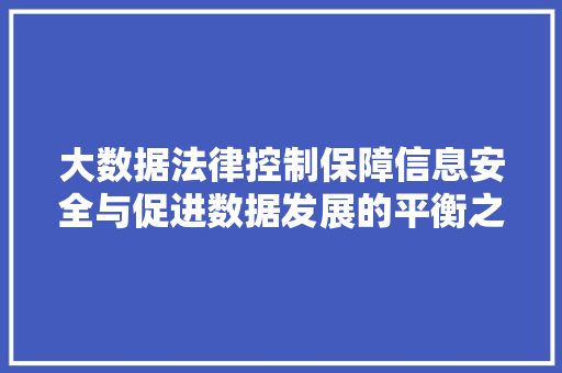 大数据法律控制保障信息安全与促进数据发展的平衡之路