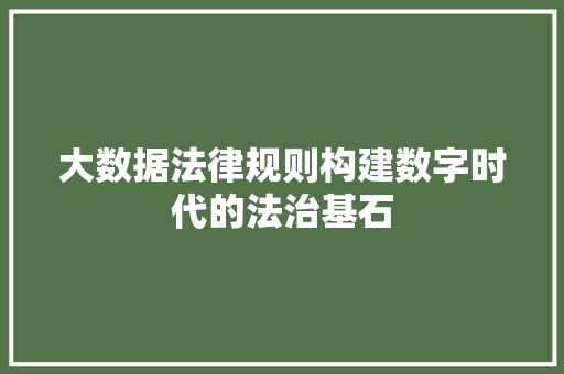大数据法律规则构建数字时代的法治基石