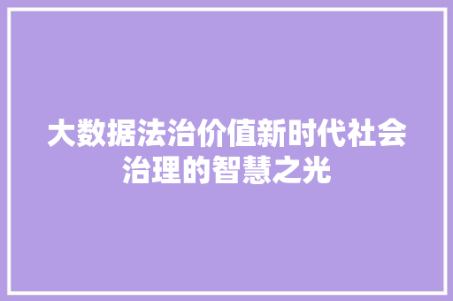 大数据法治价值新时代社会治理的智慧之光
