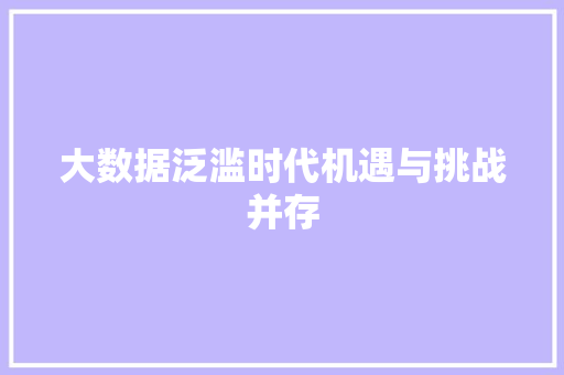 大数据泛滥时代机遇与挑战并存