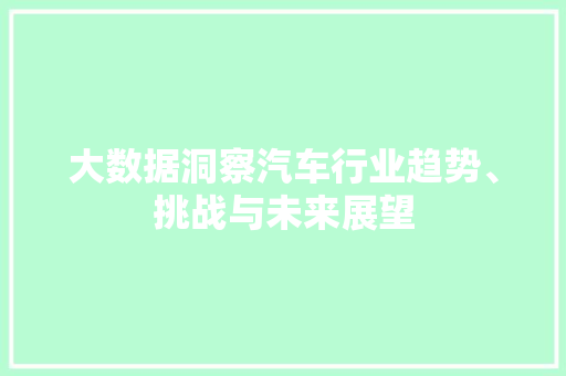 大数据洞察汽车行业趋势、挑战与未来展望