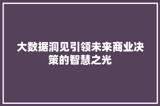 大数据洞见引领未来商业决策的智慧之光