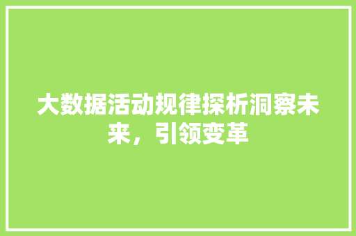 大数据活动规律探析洞察未来，引领变革