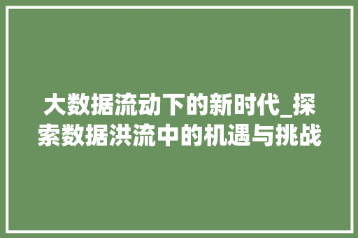 大数据流动下的新时代_探索数据洪流中的机遇与挑战