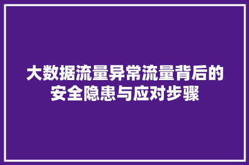 大数据流量异常流量背后的安全隐患与应对步骤 编程语言