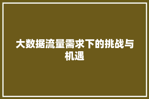 大数据流量需求下的挑战与机遇