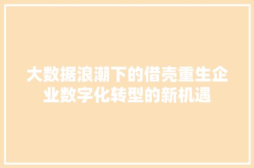 大数据浪潮下的借壳重生企业数字化转型的新机遇