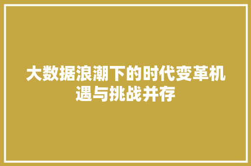 大数据浪潮下的时代变革机遇与挑战并存