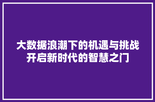 大数据浪潮下的机遇与挑战开启新时代的智慧之门 网络技术 大数据浪潮下的机遇与挑战开启新时代的智慧之门 网络技术