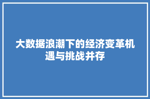 大数据浪潮下的经济变革机遇与挑战并存