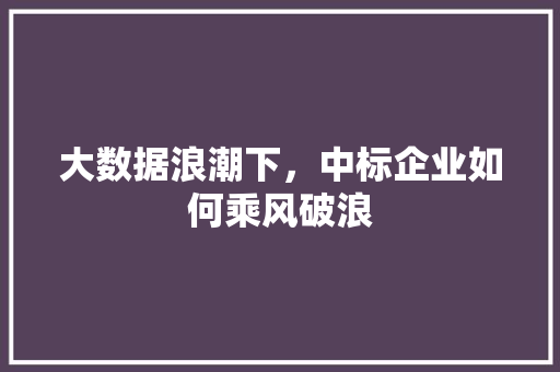 大数据浪潮下，中标企业如何乘风破浪 电脑配置