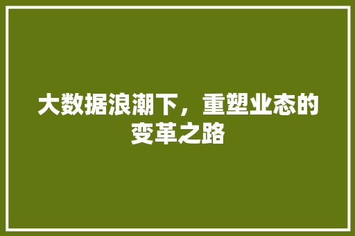 大数据浪潮下，重塑业态的变革之路 电脑配置