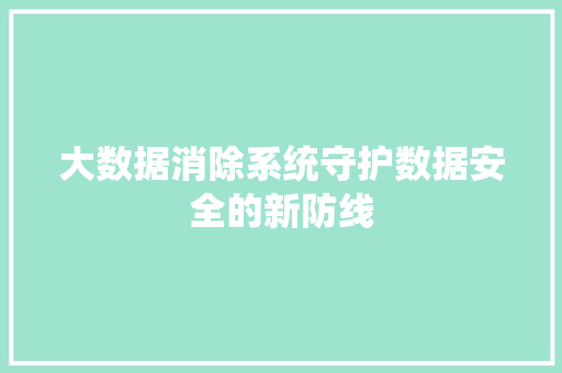 大数据消除系统守护数据安全的新防线