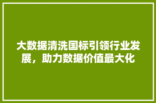 大数据清洗国标引领行业发展，助力数据价值最大化