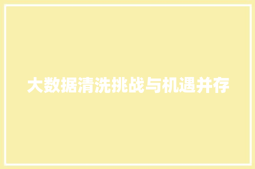 大数据清洗挑战与机遇并存
