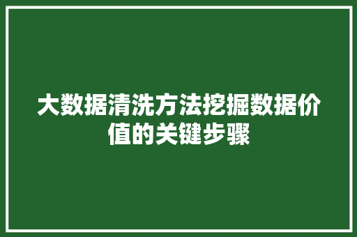 大数据清洗方法挖掘数据价值的关键步骤 大数据清洗方法挖掘数据价值的关键步骤