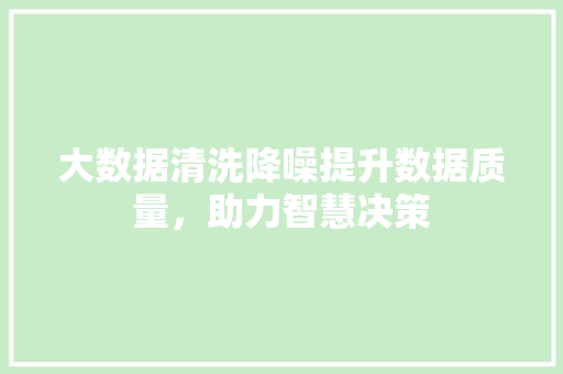 大数据清洗降噪提升数据质量，助力智慧决策