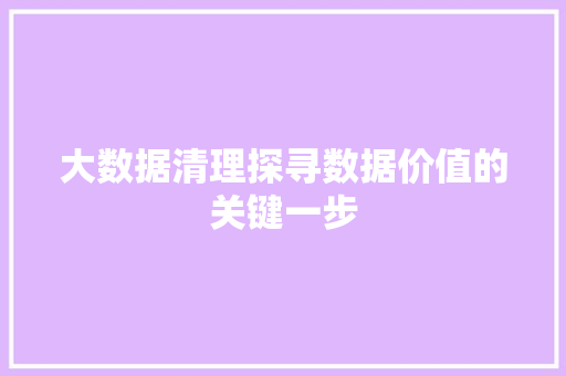 大数据清理探寻数据价值的关键一步 网络技术