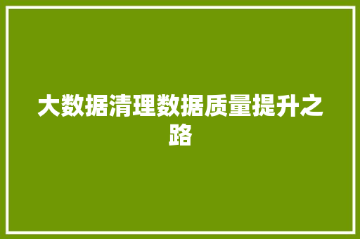大数据清理数据质量提升之路