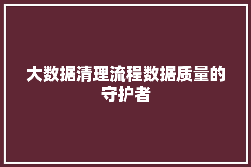 大数据清理流程数据质量的守护者 电脑故障维修 大数据清理流程数据质量的守护者 电脑故障维修