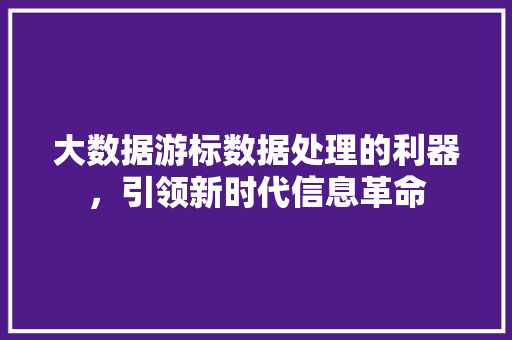 大数据游标数据处理的利器，引领新时代信息革命