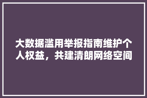 大数据滥用举报指南维护个人权益，共建清朗网络空间