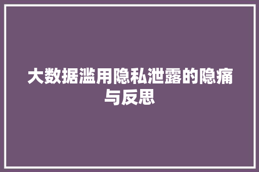 大数据滥用隐私泄露的隐痛与反思