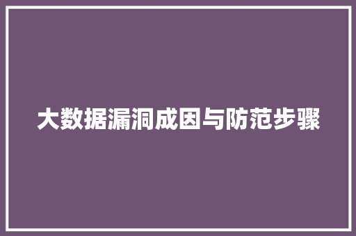 大数据漏洞成因与防范步骤