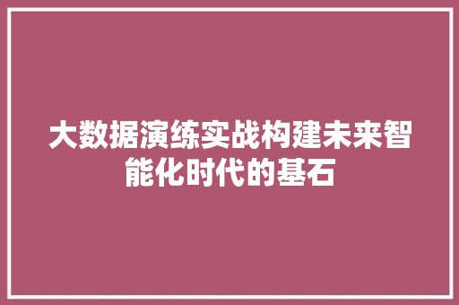 大数据演练实战构建未来智能化时代的基石 大数据演练实战构建未来智能化时代的基石