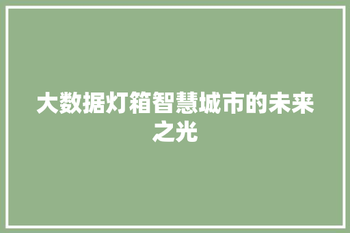 大数据灯箱智慧城市的未来之光